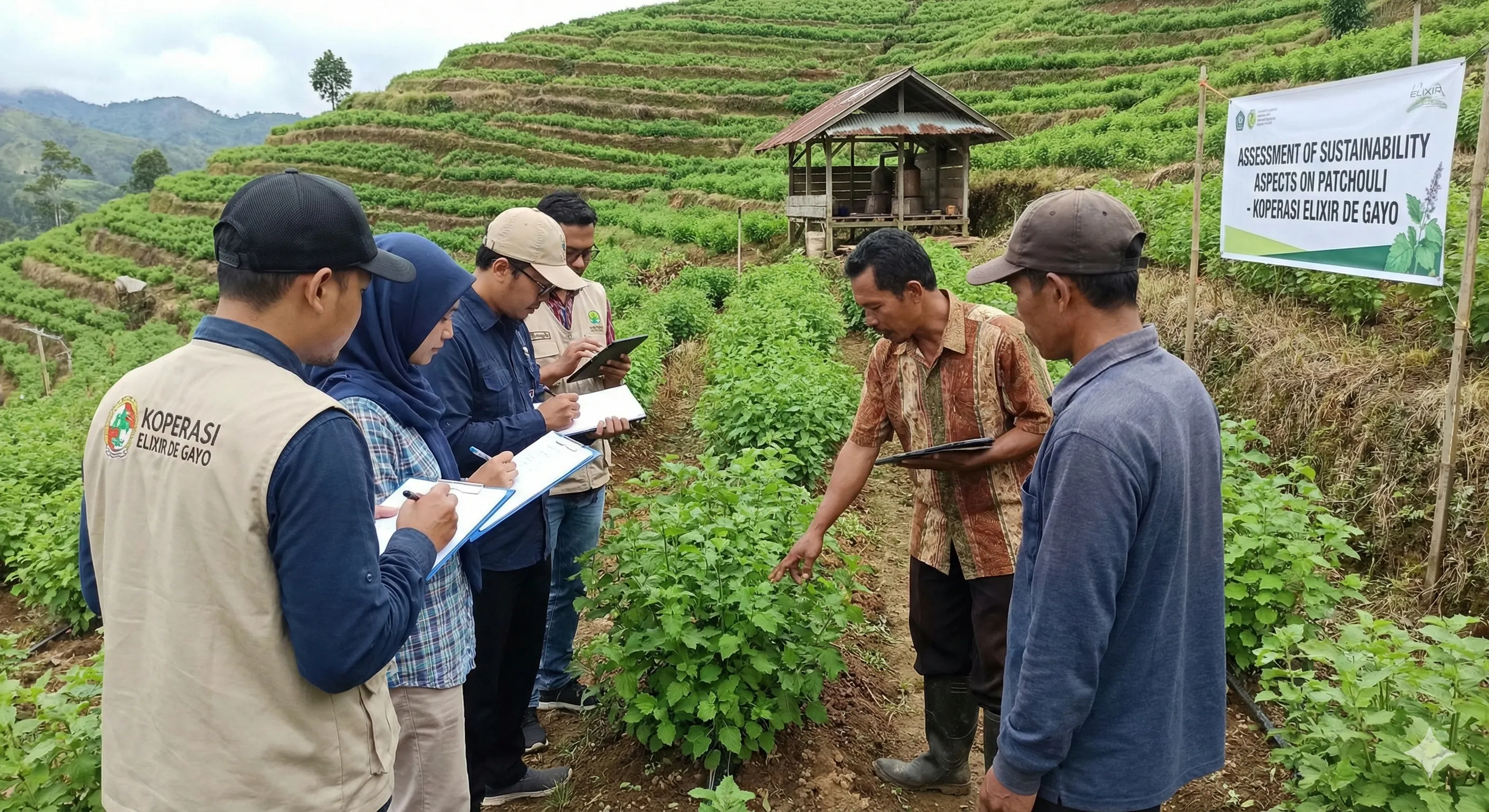 Assessment of Sustainability Aspects on Patchouli Koperasi Elixir de Gayo